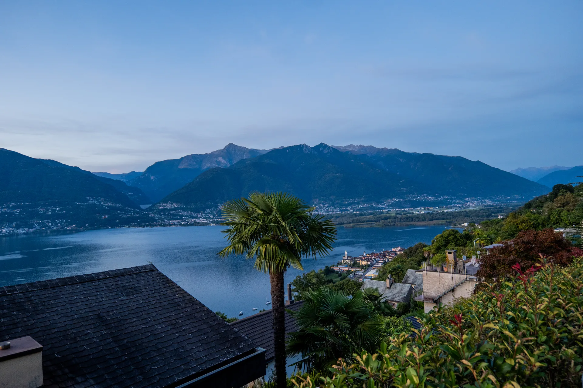 Panoramablick auf den Lago Maggiore und die Alpen bei Abenddämmerung von Vira Gambarogno